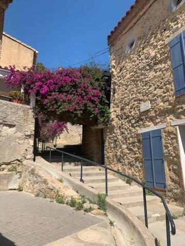 L'Olivier De Nonna Apartment Gruissan Exterior foto