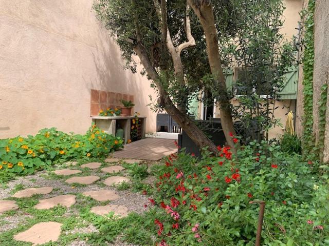 L'Olivier De Nonna Apartment Gruissan Exterior foto