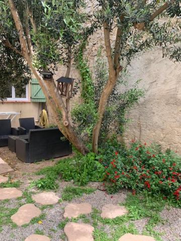 L'Olivier De Nonna Apartment Gruissan Exterior foto